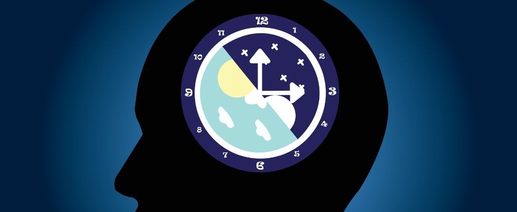 The Biological Clock – Circadian Rhythm – The Concept Clinic